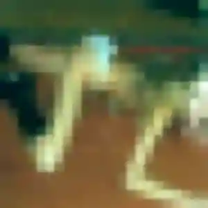 Photo de Francine à Massieux (37 ans) - rencontre adulte discret