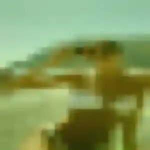 Claudine (33 ans) à Massillargues-Attuech cherche une rencontre maintenant