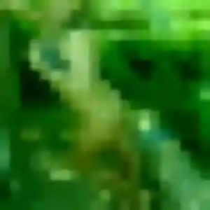 Photo de Selbé à Matoury (36 ans) - rencontre adulte discret
