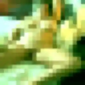 Constance, 33 ans, cherche un rencontre adulte à Mauvezin