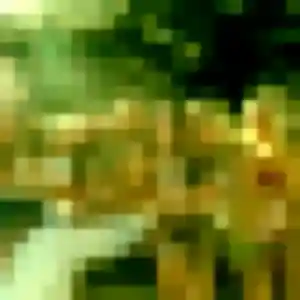 Photo de Adeline à Ménil (37 ans) - rencontre adulte gratuit