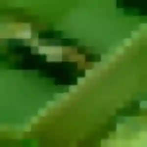 Rejoins Adja, 28 ans à Menomblet gratuitement