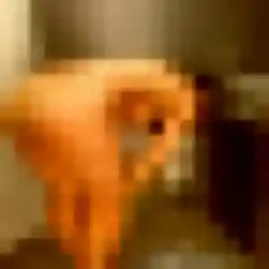 Sexy Sarjo, 38 ans à Merceuil - découvrir son profil