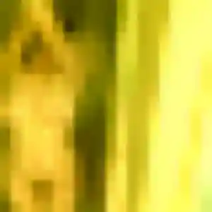 rencontre adulte à Méreau : profil de Kimberley, 32 ans - sans engagement