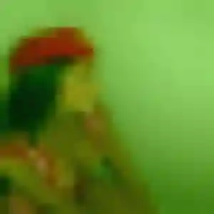 Yaa, fille de 21 ans veut rencontre adulte à Mertzwiller