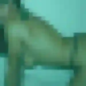 rencontre adulte à Mésanger : photo de Titi, 24 ans - accès libre