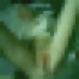 Photo de Olive à Messas (38 ans) - rencontre adulte anonyme