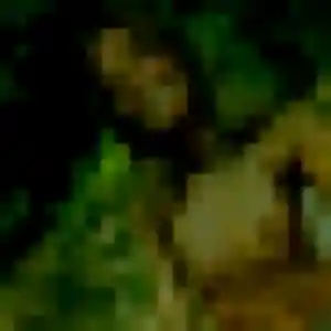 Nyima, 41 ans, disponible à Messein pour un rencontre adulte