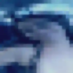 Photo privée de Yolène, 41 ans à Mézeray - rencontre sans lendemain