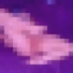 Photo de Célestine à Mietesheim (26 ans) - rencontre adulte discret