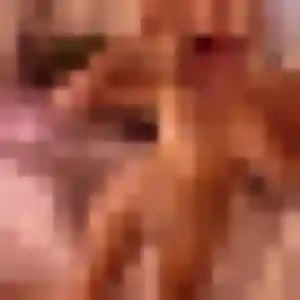 Fama, femme de 39 ans veut rencontre adulte à Mieuxcé