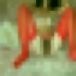 rencontre adulte à Millam : profil de Astou, 44 ans - inscription gratuite