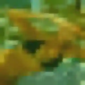 rencontre adulte à Millau : profil de Aida, 31 ans - inscription gratuite