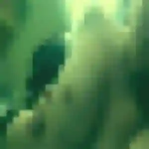 Pascaline, 41 ans, cherche un rencontre adulte à Mittelbergheim