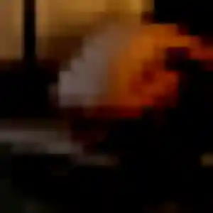 Léonie, 30 ans, cherche un rencontre adulte à Moëlan-sur-Mer