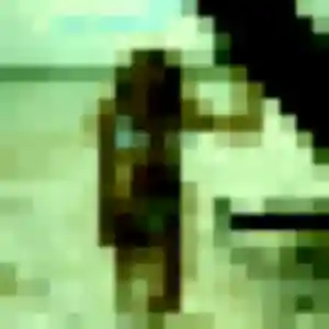 Photo perso de Fanny, 38 ans à Moislains - rencontre sans lendemain