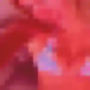 Photo perso de Sandy, 41 ans à Montady - plan discret