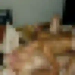 Découvre Ophélie, 27 ans à Montbonnot-Saint-Martin en privé