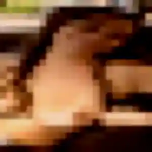 Sexy Morenike, 19 ans à Montcel - la contacter