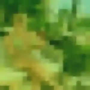 Favour, 22 ans, veut un rencontre adulte à Monteils