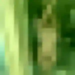 Photo perso de Élise, 38 ans à Montesquieu-des-Albères - rencontre coquine