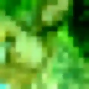 Jamila, femme de 19 ans cherche rencontre adulte à Montferrand-le-Château