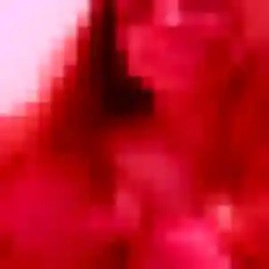 Joséphine, 29 ans, connectée à Monthou-sur-Bièvre pour une rencontre coquine