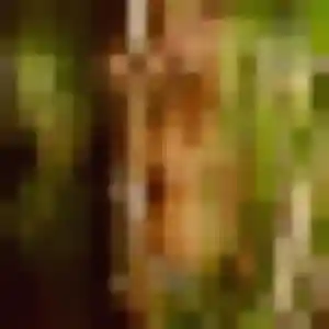 rencontre adulte à Montreuil : profil de Kaddy, 24 ans - accès libre