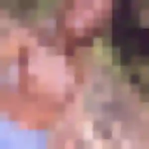 rencontre adulte à Monts-sur-Guesnes : photo de Zoé, 44 ans - accès libre