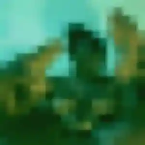 Amenan, 42 ans, connectée à Moosch pour une rencontre coquine