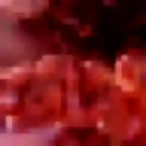 Priscilla, 41 ans, cherche un rencontre adulte à Morangis