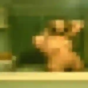 Belle Olive, 38 ans à Morbecque - la contacter