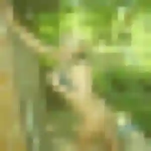 rencontre adulte à Mortrée : profil de Hélène, 29 ans - inscription gratuite