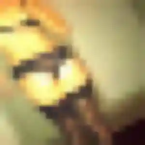 Profil de Ayélé à Mozac (26 ans) - rencontre adulte anonyme