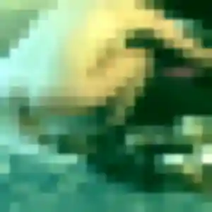 Léonie, 25 ans, cherche un rencontre adulte à Muron