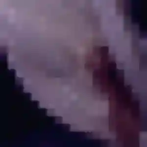 Photo perso de Titi, 38 ans à Mutzig - rencontre coquine