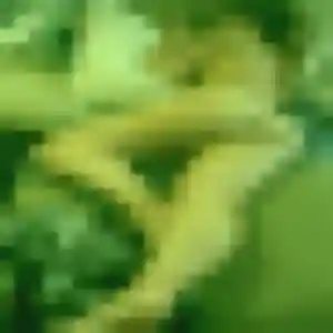 Photo de Régine à Nancray (45 ans) - rencontre adulte anonyme