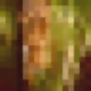 Gladys, femme de 32 ans cherche rencontre adulte à Neau