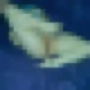 Photo sexy de Sixtine, 21 ans à Neewiller-près-Lauterbourg - rencontre coquine
