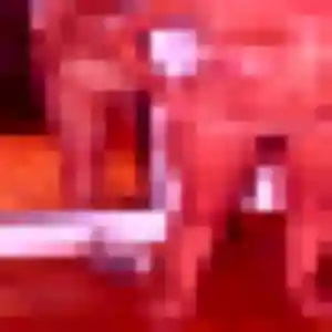 Ablavi de Nérondes, 26 ans - rencontre adulte en toute liberté