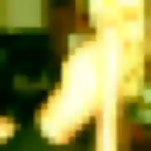 rencontre adulte à Ners : photo de Yasmine, 20 ans - sans engagement