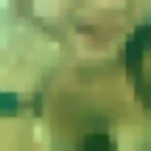 Henriette, 43 ans, cherche un rencontre adulte à Neufchâtel-Hardelot