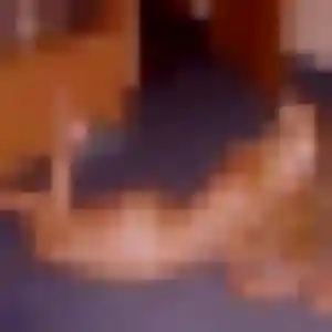 Stéphanie, 19 ans, dispo pour rencontre adulte à Neuvic