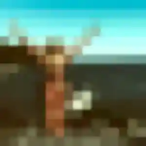 Céline de Neuville-sur-Ain, 27 ans - rencontre adulte sans prise de tête