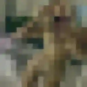 Valentine, 39 ans, cherche un rencontre adulte à Neuvy-sur-Barangeon