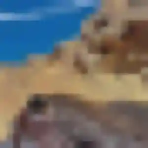 Constance (45 ans) à Nevers propose une rencontre rapidement