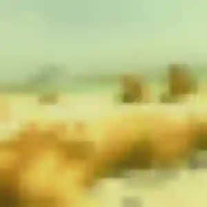 Funke, fille de 27 ans veut rencontre adulte à Neyron