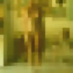 Photo de Céline à Nibelle (37 ans) - rencontre adulte anonyme