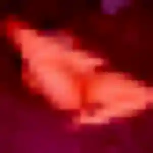 rencontre adulte à Niffer : profil de Téning, 31 ans - inscription gratuite