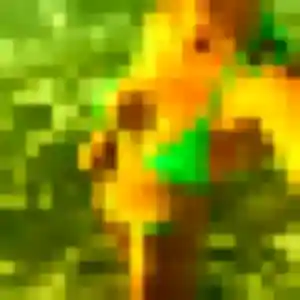 Découvre Yankuba, 24 ans à Noailly gratuitement